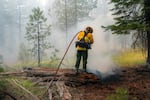 A firefighter douses flames Sunday, July 21, 2024 in the Falls Fire north of Burns, Ore. One of many wildfires now posing problems across the state, the Falls Fire was roughly 16% contained but covered more than 132,000 acres.