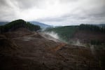 Smoke rises from clear-cut land and mixes with fog at an industrial forest in Oregon’s Coast Range.