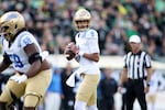 UCLA quarterback Nico Iamaleava (9) looks to pass during the first half of an NCAA college football game against Oregon, Saturday, Oct. 10, 2026, in Eugene, Ore. (AP Photo/Lydia Ely)