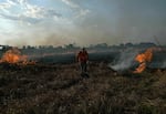 A firefighter works to put out a large forest fire in Porto Jofre, Brazil on Sept. 4, 2021.