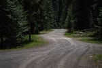 Tire tracks mark a dirt road in the Wallowa Mountains, east of Union, Ore., on May 22, 2026. There are more than 23,200 miles of roads in the Blue Mountains National Forests, almost enough to circle the Earth.