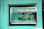 An advertisement for the Velas Turtle Festival in the western Indian village of Velas. The festival is an eco-tourism project that invites visitors to watch olive ridley sea turtle hatchlings enter the sea.