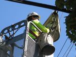 Worker for Christiansen Electric, replaces regular streetlight bulb with new LED bulb.