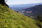 Biologists search for the early-blue violet in a steep meadow on Saddle Mountain.