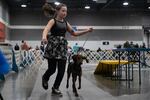 Brooke, 9, and her plott hound Absithne, won fourth prize in the juniors competition. The Rose City Classic Dog Show was held at the Portland Metropolitan Exposition Center Jan. 15-19, 2020.