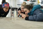Biological oceanographer Kim Bernard and her colleagues examine the krill that they collected from a hydrothermal vent some 3,600 feet below the surface.