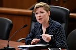 Dana Sussman, acting executive director of National Advocates for Pregnant Women, during a public hearing on Feb. 13, 2019, in Albany, N.Y.