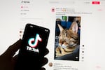 "Brain rot" is the term of the year for 2024, referring to concerns that endlessly scrolling through social media videos and other content can cause harm. Here, TikTok's logo is seen on a mobile phone in front of a computer screen showing a TikTok home screen. (AP Photo/Michael Dwyer, File)