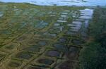 In this undated photo provided by the United States Geological Survey, permafrost forms a grid-like pattern in the National Petroleum Reserve-Alaska, managed by the Bureau of Land Management on Alaska's North Slope.