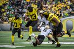 Oregon quarterback Anthony Brown (13) eludes a tackle by Colorado cornerback Mekhi Blackmon (6) during the third quarter of an NCAA college football game Saturday, Oct. 30, 2021, in Eugene, Ore.