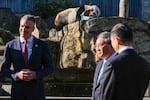 Wang Wang the panda chews on a box as South Australian Premier Peter Malinauskas and China's Premier Li Qiang listen to a zoo ranger.