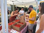 Amy Garrett packs up dry farmed tomato varieties for attendees of the third annual Tomato Fest in Portland, Ore., Sept. 11, 2023. Garrett is the founder of the Dry Farming Institute and has been sharing knowledge about the growing practice since 2011.