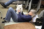 Kelly Howard attends a recent state meeting on treating chronic pain. To avoid exacerbating her pain, she lies on the floor at the back and brings her support dog, Kenta.