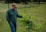 Thursday, May 21, 2026 — Former Forest Service researcher, Morgan Grove, examines Oak tree leaves at the Native Oak Tree Regeneration: Oak Orchard Site at Cylburn Arboretum in Baltimore, MD.