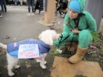 Some union members have even enlisted the help of their pets on the picket line.
