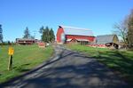 Whatcom County dairy farmer Steve Groen's barn was built back in 1917. He's a third-generation dairy farmer.