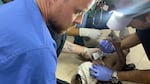 In this August 2025, photo provided by Dr. Travis Melin, he is pictured along with other medical personnel, in Gaza treating an injured patient.
