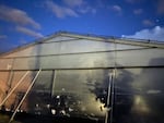 Headlamps inside a greenhouse illuminate the cherry trees at River Valley Fruit, outside Kennewick, Wash. This is one of the only greenhouses in the United States for Rainier cherries.  