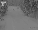 A traffic camera still image shows a road completely blanketed in slow, with snow-covered trees on either side of the road