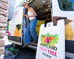 Ruby Burke, an AmeriCorps Summer Associate with the Portland Fruit Tree Project, unloads supplies as the team prepares for a harvest.