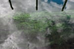 Cyanobacteria bloom in the Willamette River as the water reflects the Kevin J. Duckworth Memorial Dock pilings in Portland, Ore., on Aug. 27, 2026.