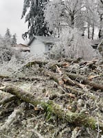 A house in Cottage Grove this week. Houses across Lane County have been damaged by falling trees and debris.