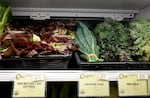 A display fridge of leafy greens  grown at Our Table Cooperative farm in Sherwood, Ore., Sept. 12, 2024. Narendra Varma, the farm's executive director, says more frequent, hotter days are making is harder to grow salad greens.