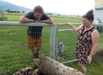 Klavins leans on the fence as he gazes at furry spotted sow and her piglets grazing below. Cain places a hand on the fence as an Australian Cattle Dog grins at her from beyond the gate.