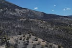An aerial view shows burned forest after a wildfire near Porto Germeno, northwest of Athens, Greece, Tuesday, Aug. 4, 2026.