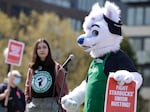 Michael Vestigo of Kansas City, Kansas, who claims he was fired by Starbucks, speaks while dressed as Apollo the Wolf during the "Fight Starbucks' Union Busting" rally and march in Seattle on April 23.