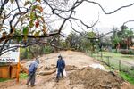 James Jones carries sandbags while trying to prevent water from running off a property scorched in the Eaton Fire in Altadena, Calif., as the region remains under flash flood warnings on Saturday, Nov. 15, 2025.