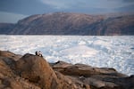 FILE - NYU student researchers sit on top of a rock overlooking the Helheim glacier in Greenland, Aug. 16, 2019.