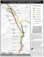 A map showing the density of collisions with wildlife on I-5 between Ashland the the California border from 2016 through 2020.