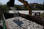 A bulldozer collects dead fish from a river near the port city of Volos, central Greece, Thursday, Aug. 29, 2024, following a mass die-off linked to extreme climate fluctuations.