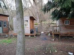 Hazelnut Grove encampment in Portland.