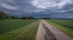 A soybean field near Clinton, Ill.