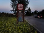 Wild mustard flowers bloom around a Smokey Bear sign in Griffith Park in Los Angeles, Thursday, June 8, 2023.