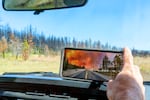 Justin Kostick, forest manager for the Green Diamond timber company, shows a cellphone photo shot when this stretch of trees was burned during the Bootleg Fire in 2021. Today, June 29, 2023, only blackened trees remain. The massive Bootleg Fire destroyed trees in the Klamath Basin, including portions of two carbon offset projects covering 570,000 acres and operated by Green Diamond.