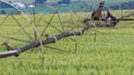 The beauty of Eastern Oregon's agricultural scenery