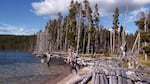 Miller Lake is set in the southern Cascades northeast of Crater Lake and has long been popular with anglers.