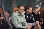 FILE - Portland Timbers head coach Phil Neville sits on the bench before an MLS soccer match against Columbus Crew, Saturday, Feb. 21, 2026, in Portland, Ore. (AP Photo/Amanda Loman)