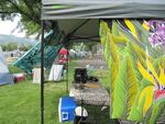 Pickers of all stripes come from Oregon, Washington, Idaho, and even farther, camping out on the lawn of Wallowa Elementary.