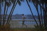 A jogger runs along the bay in heavy rain ahead of Hurricane Milton, Wednesday, Oct. 9, 2024, in Tampa, Fla.