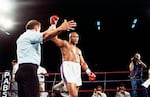 Former heavyweight champion George Foreman has hit glove lifted into the air after referee Al Munoz gave Foreman the victory in his heavyweight fight against Bert Cooper in Phoenix, on June 2, 1989.