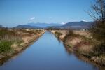 The Tom Moore Slough levee, near Big Ditch, protects farmland near Stanwood, Wash., on April 8, 2026.