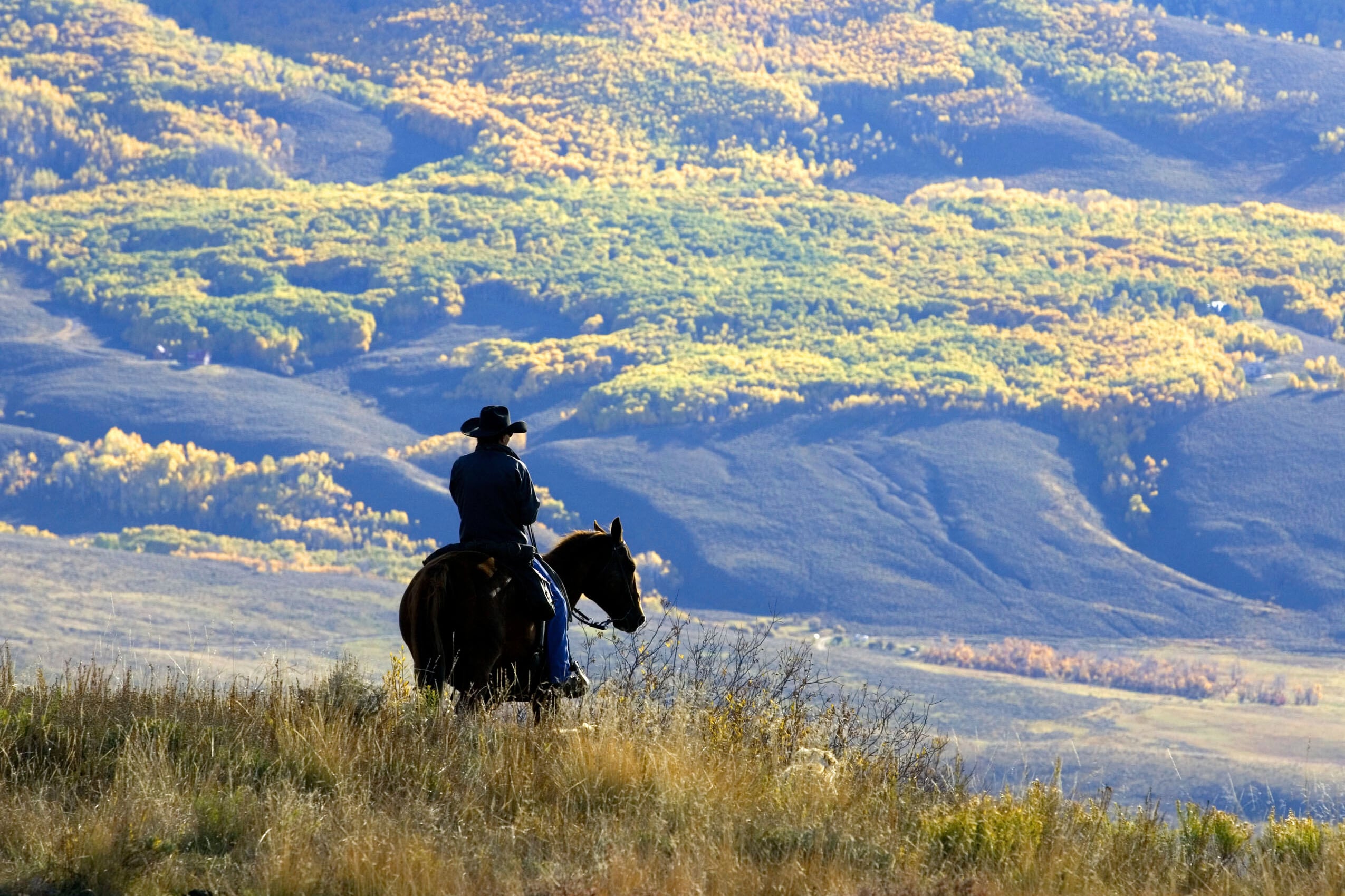 FILE - Wrangler Doug Washburn, of Crested Butte, Colo. overlooks aspen trees with their autumn colors, near Jacks Cabin in the Slate River Valley near Crested Butte, Colo. while gathering the Spann cattle from the U.S. National Forest lands, Oct. 5, 2007.