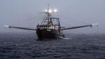 Groundfish trawlers dragged along the seafloor to catch groundfish species such as rockfish, black cod and Dover sole.
