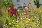 Lucy Racehorse Suppah in the distance at the NAYA community garden in Northeast Portland, Sep. 4, 2025. Suppah organizes workshops and classes with the goal of reintroducing Portland urban Native people to ancestral foods and knowledge.