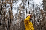 A firefighter wearing a hardhat looks into the distance with a forest behind him.