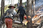 Volunteers were able to swap teams so that everyone had the opportunity to practice using the drip torches.